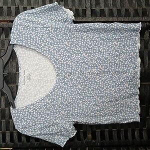 American Eagle Outfitters Blue Floral Crop Top Sz L